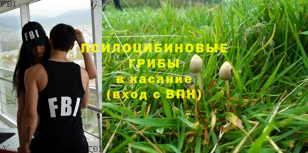 гашик Баксан