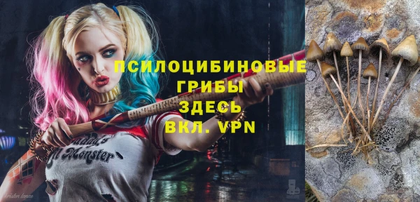 дживик Балахна