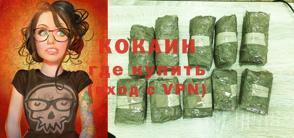 дживик Балахна