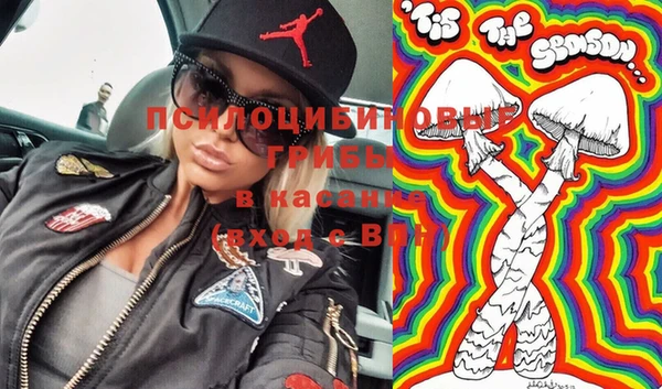дживик Балахна